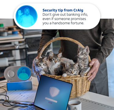 Craig at his desk with a basket of kittens, with a security alert showing on his laptop screen